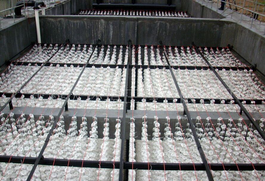 ҽԺ��ˮ��������