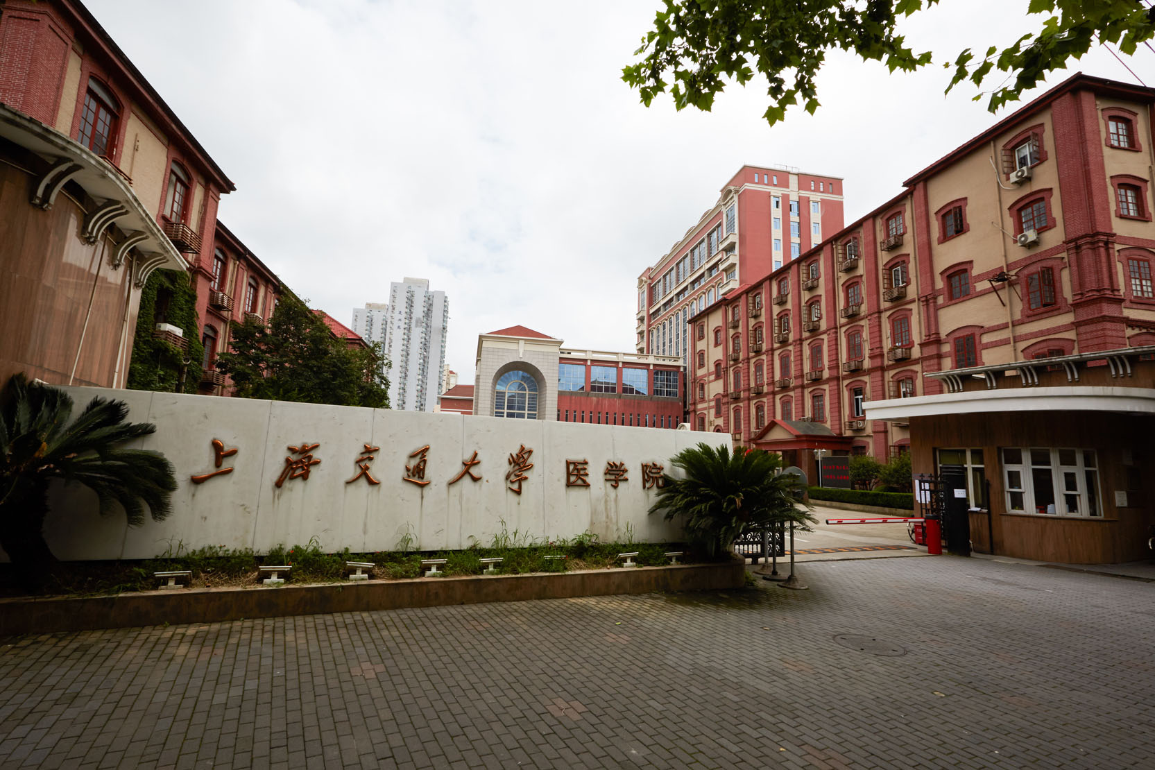 �Ϻ���ͨ��ѧ